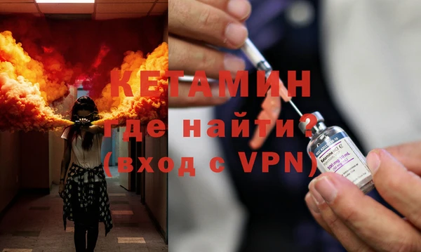 стаф Аркадак