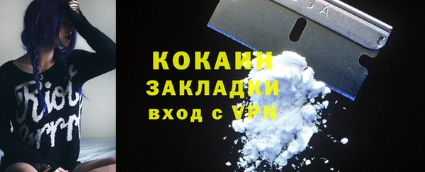 spice Новодвинск