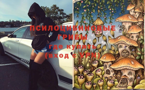 стаф Аркадак