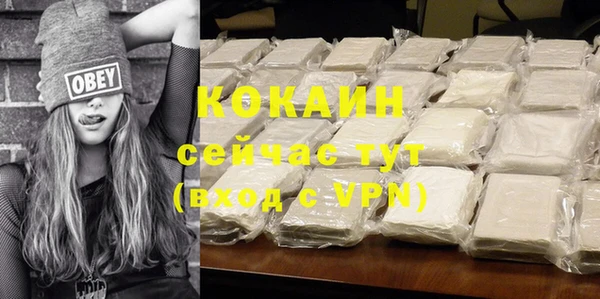 стаф Аркадак