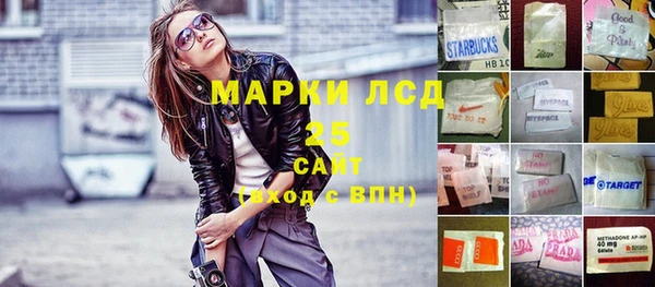 стаф Аркадак