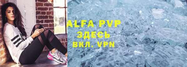 стаф Аркадак