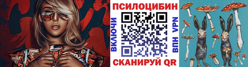 Галлюциногенные грибы Cubensis  хочу   Сортавала 